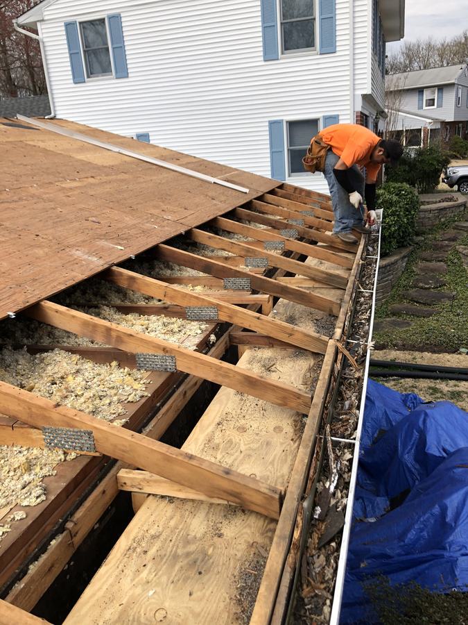 Roof decking torn off with rafters and insulation exposed and the old gutter still full of debris